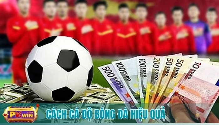 cách cá độ bóng đá