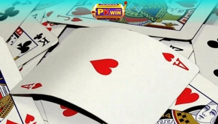 ha-phom-la-gi-pkwin (2)