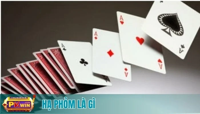 Hạ Phỏm Là Gì