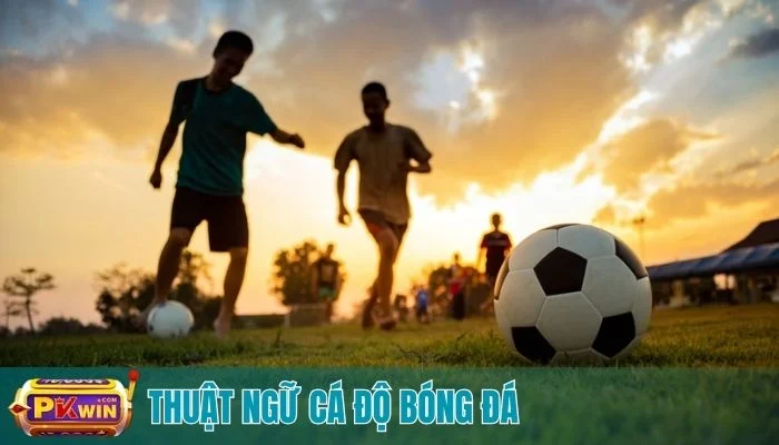 thuật ngữ cá độ bóng đá